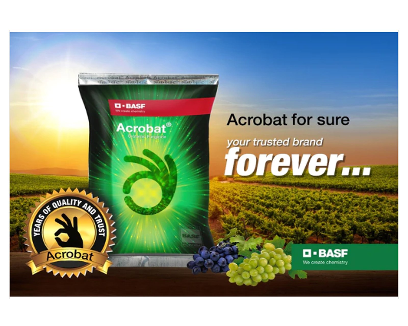 BASF-Acrobat-2.jpg