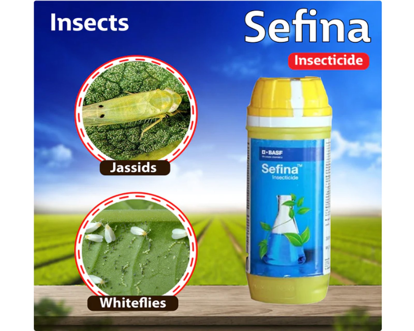 BASF-Sefina-Insecticides-1.jpg