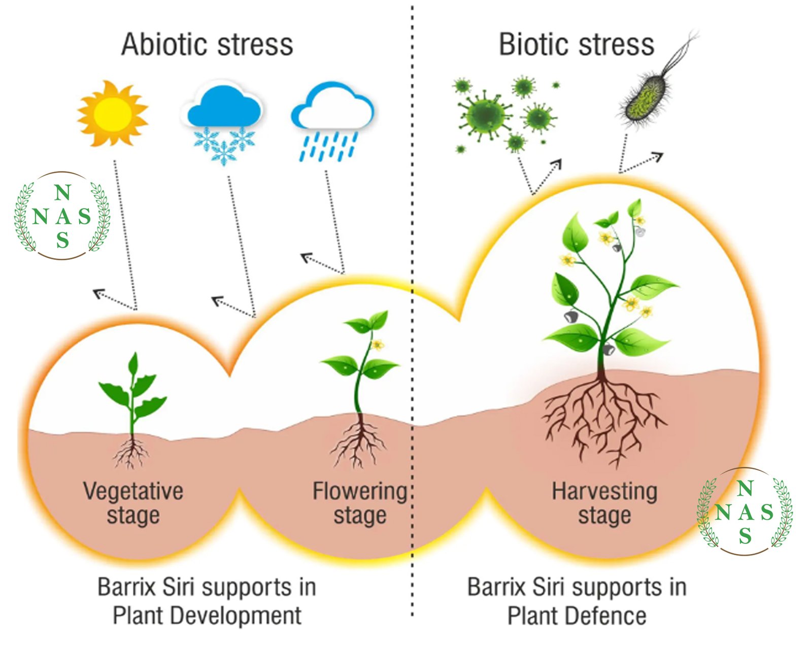 Barrix-Siri-Nutrient-Fertilizer-1.jpg