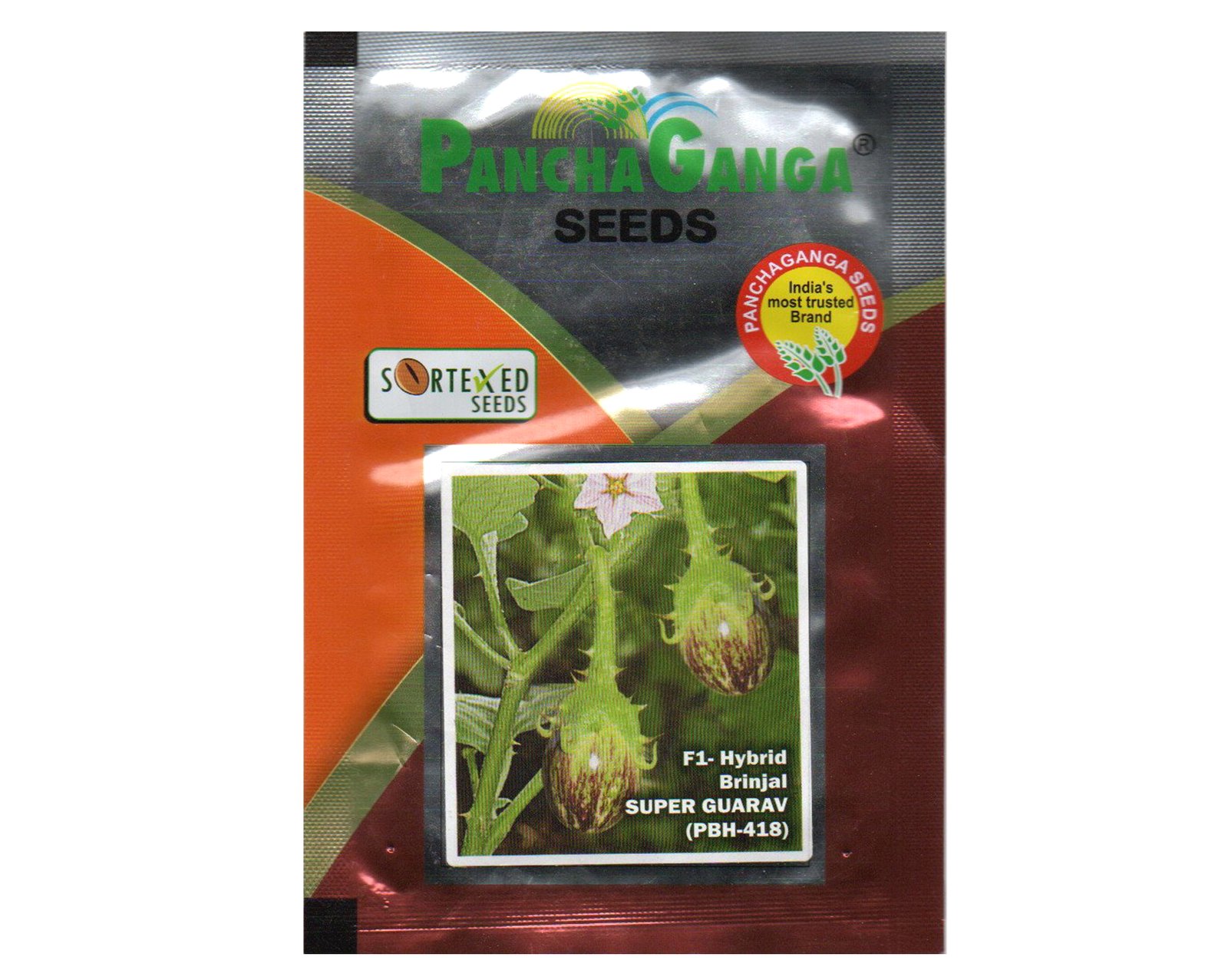 Panchaganga Super Guarav Brinjal Seeds