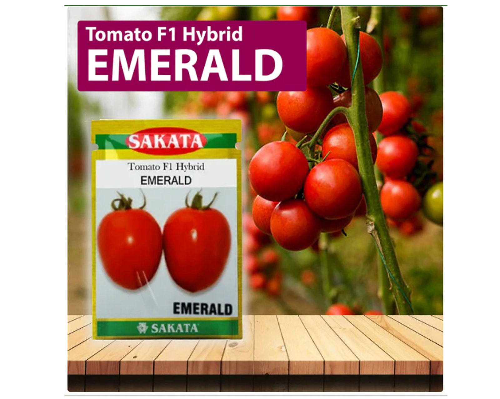 Sakata-Emerald-Tomato.jpg