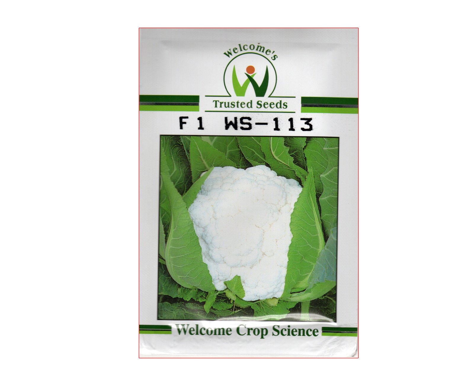 WS-113 Cauliflower Seeds