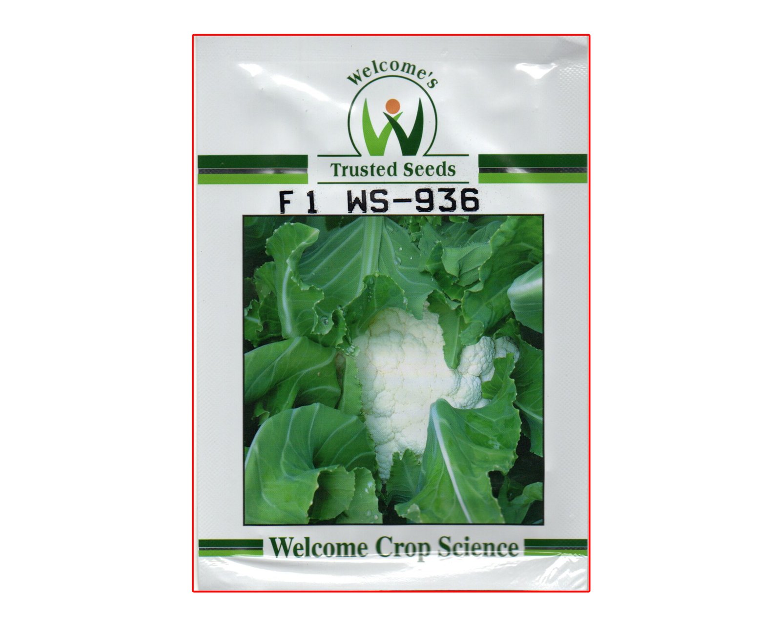 WS-936 Cauliflower Seeds