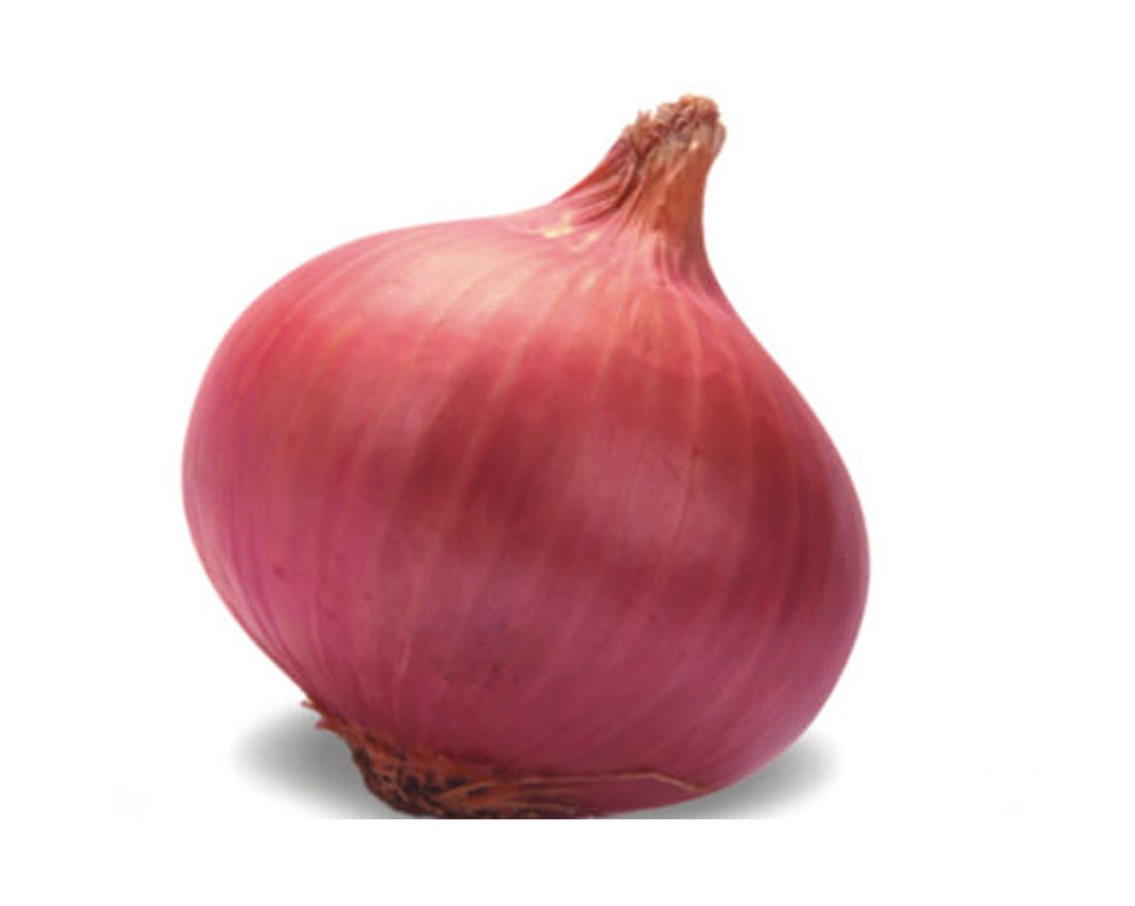 Akshay-Selection-Onion.jpg