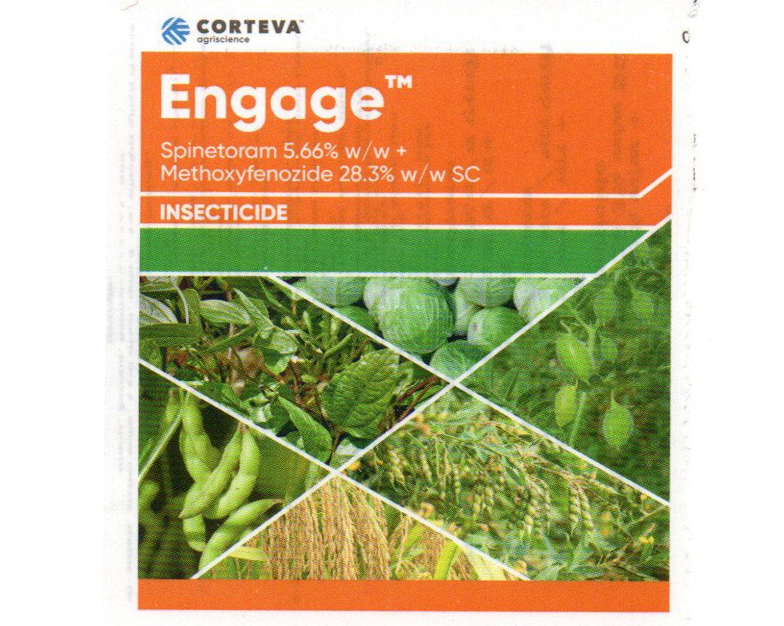 Corteva-Engagae-Insecticides-2.jpg