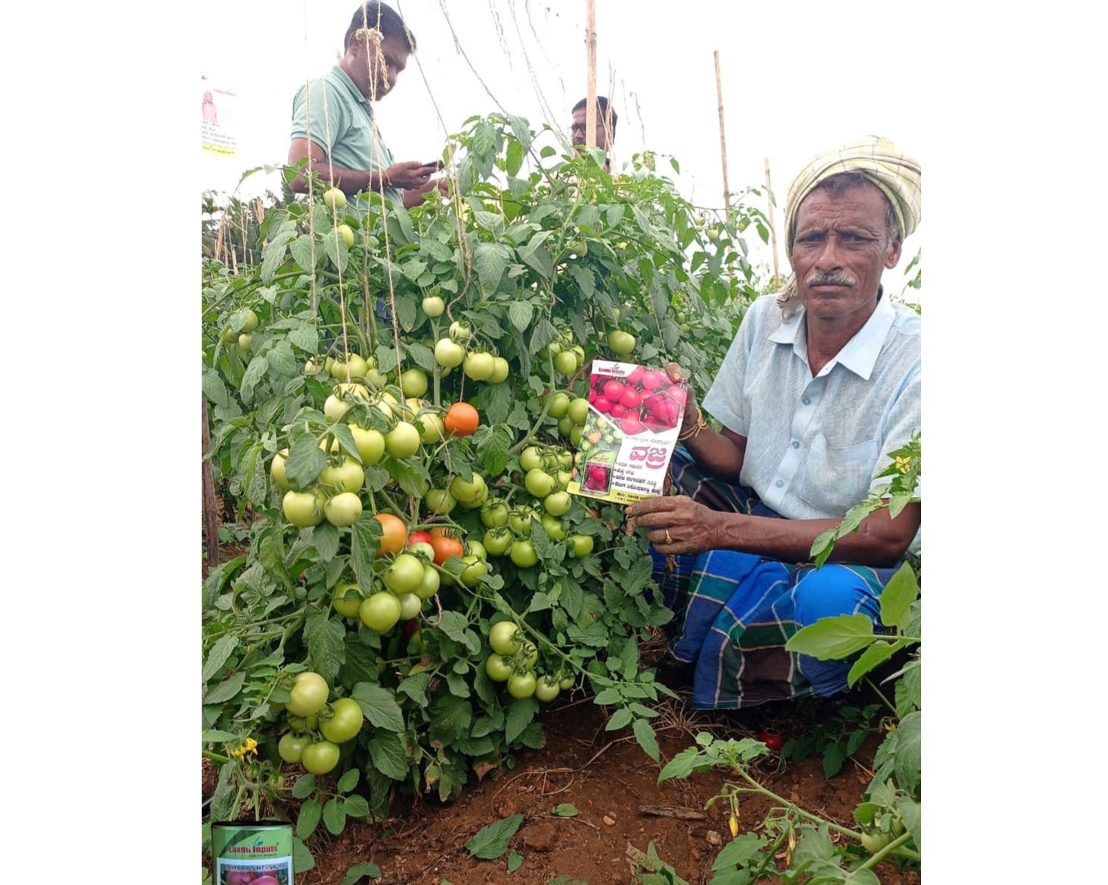 Laxmi-Inputs-Vajra-Tomato-Seeds-51738392861890.jpg